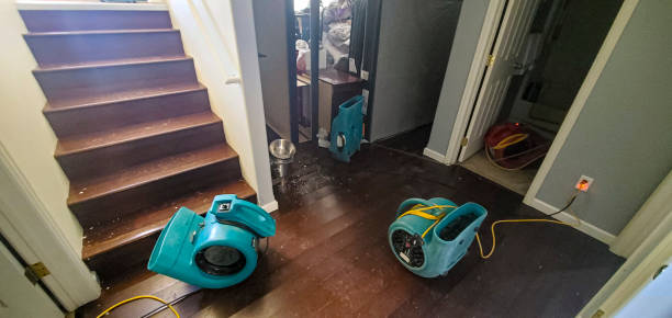 Best Water damage mitigation services  in Dubois, PA