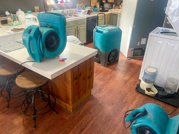 Best Water damage restoration specialists  in Dubois, PA
