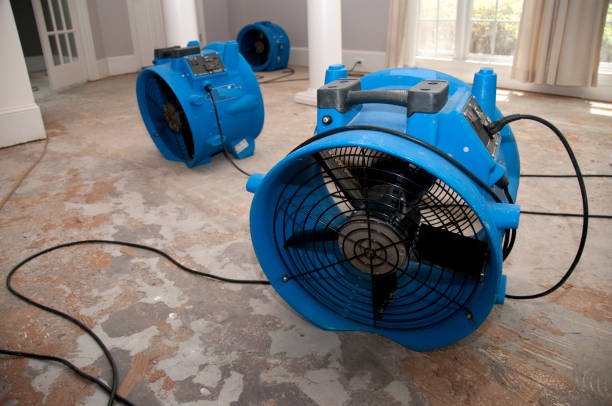 Best 24/7 water damage repair  in Dubois, PA