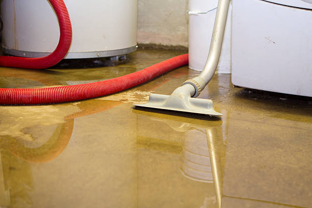 Best Water damage repair service  in Dubois, PA