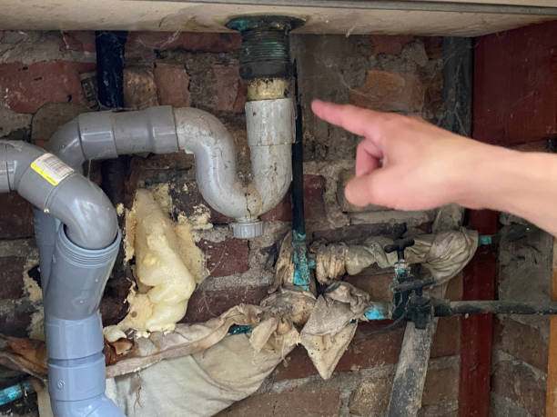 Best Local water damage restoration  in Dubois, PA