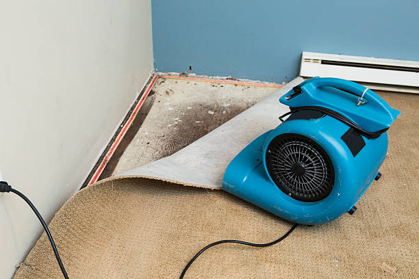 Reliable Dubois, PA Water damage restoration Solutions